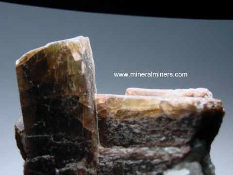 Andalusite Mineral Specimens: andalusite crystals with matrix