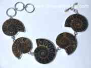 Fossil Bracelets