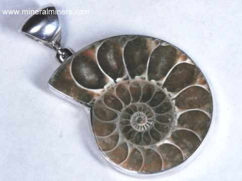 Fossil Pendant