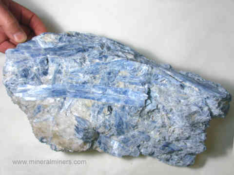 Large Blue Kyanite Decorator Mineral Specimens